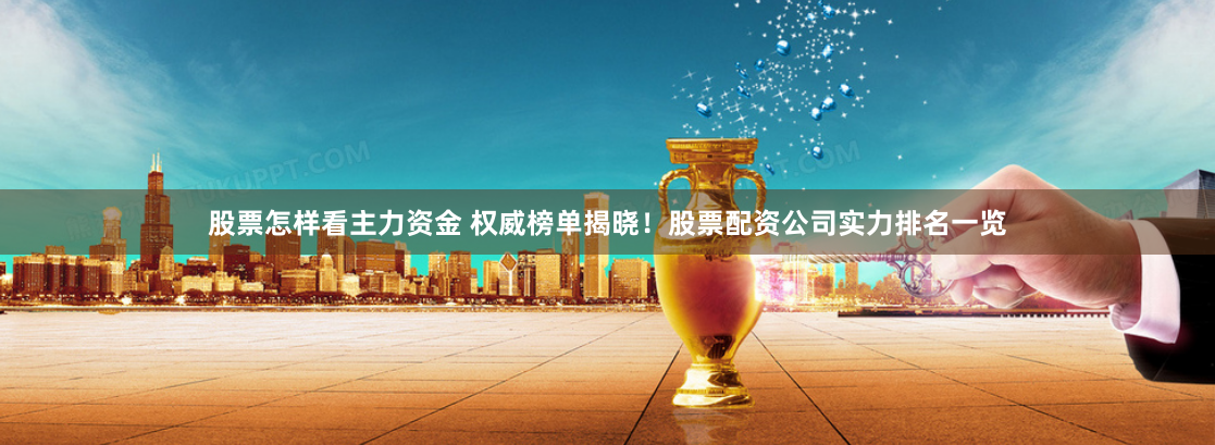 股票怎样看主力资金 权威榜单揭晓！股票配资公司实力排名一览
