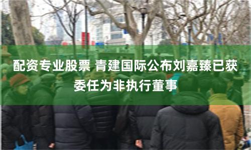 配资专业股票 青建国际公布刘嘉臻已获委任为非执行董事