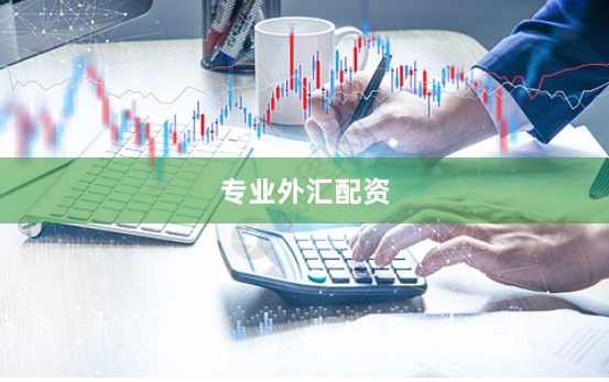 专业外汇配资